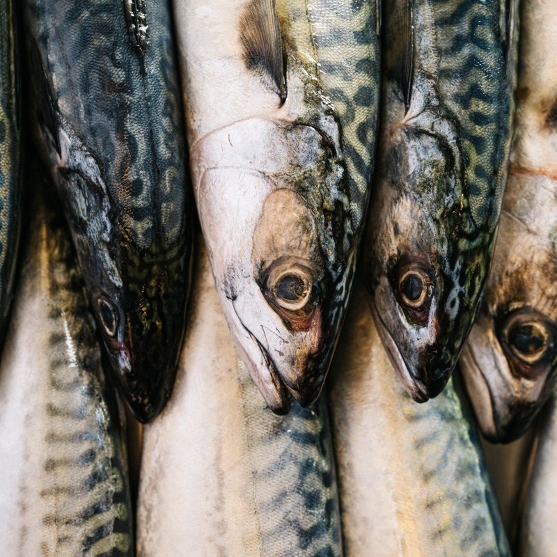 Www guyhouben com mare finals 20